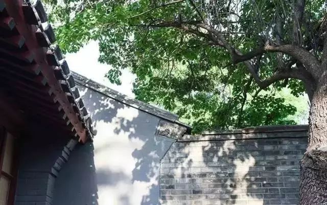 那些喜歡折騰的女人,後來到底過的好不好?
