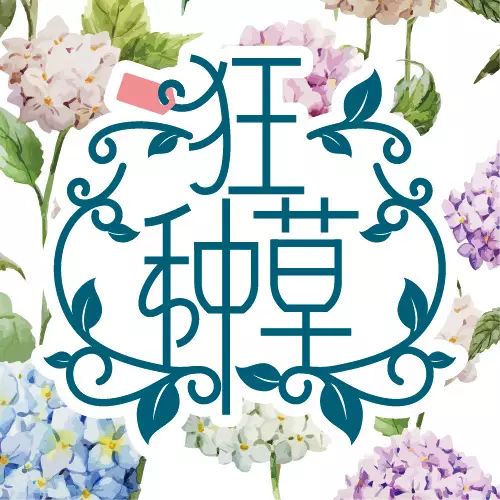 那些令人念念不忘的女人,不過是熟諳了這三個字