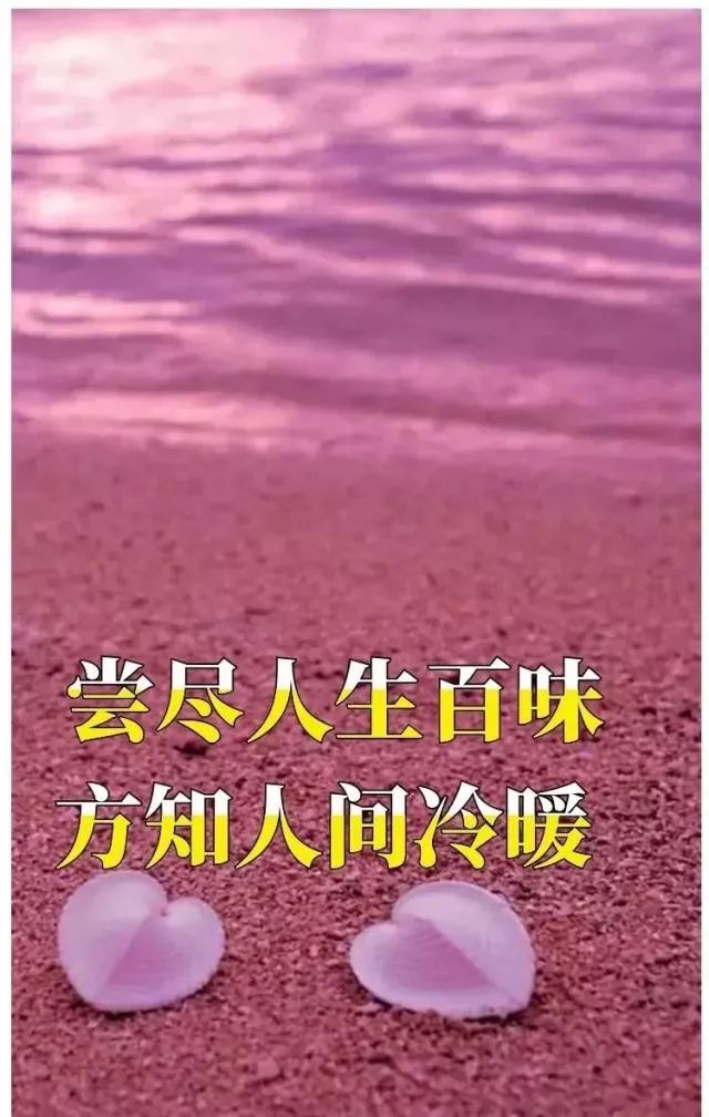 小学生心灵感悟的句子(人生心灵感悟的句子)学到了 - 故事屋