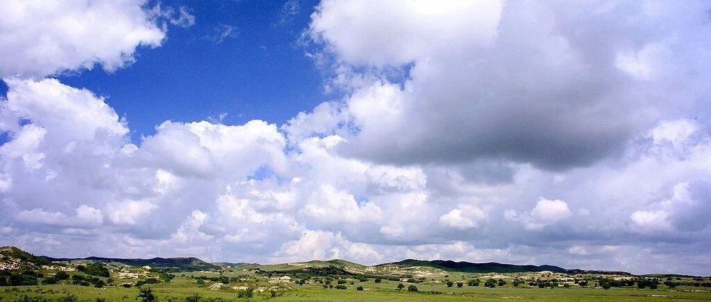 卫健委发文：所有执业医师可开展中医诊疗！