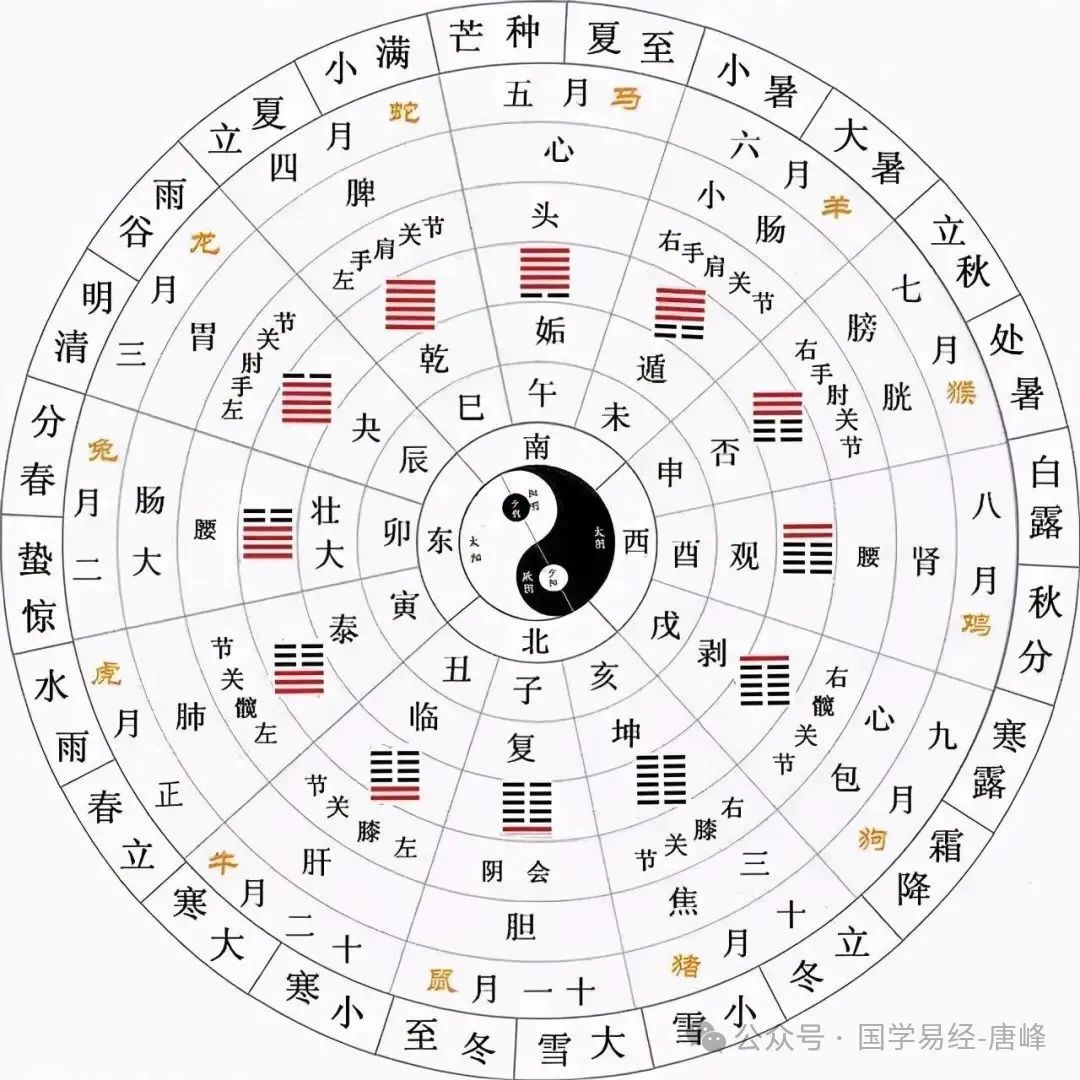 春风是农历哪一天,2025乙巳春风到，春风节气，春风遇上春社，竖蛋带来好运气，让您好..