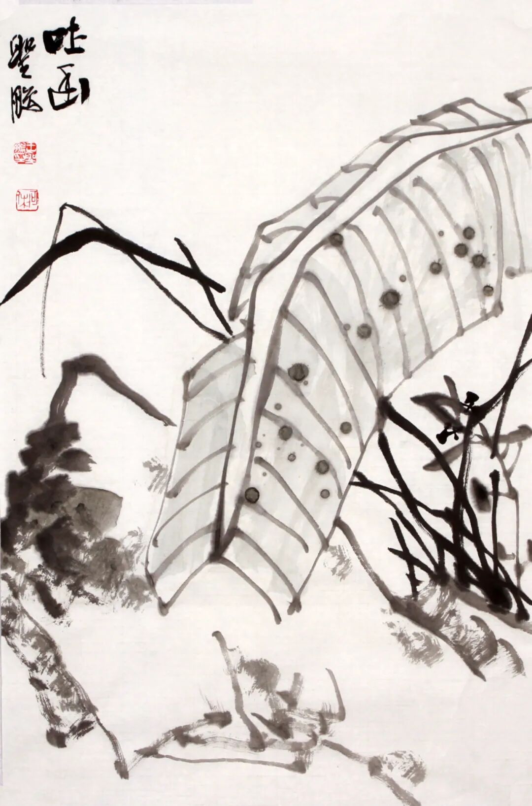 图片