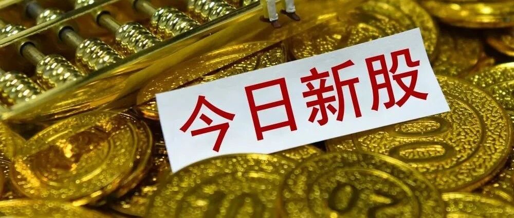 首日大涨两倍！北交所第82家公司来了！如何参与打新，业内人士这样看......