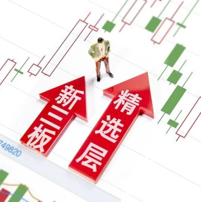 安徽凤凰成功过会，第二批精选层增至7家！上半年营收净利双增长，连毛利率都增加了一成！