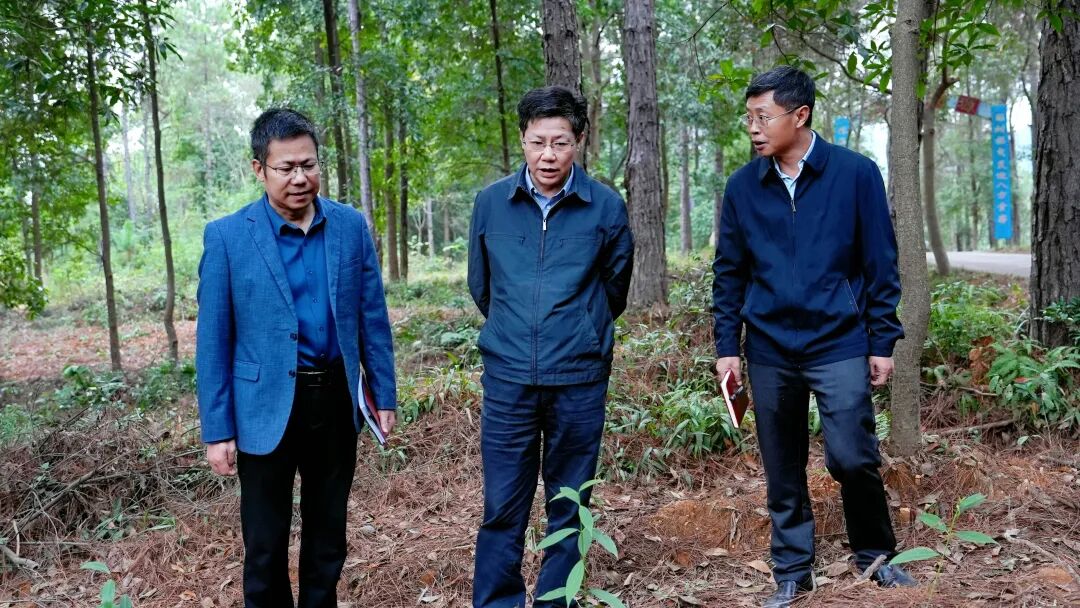 永丰县人民政府 永丰要闻