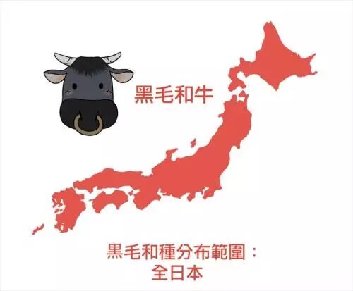 日本烧肉店攻略 人气牛肉部位 和牛地图 信息王 微信公众号文章阅读 Wemp