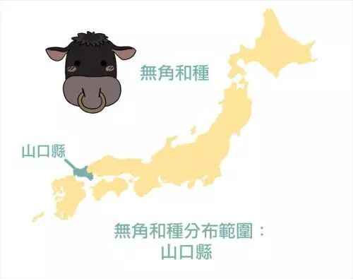 日本烧肉店攻略 人气牛肉部位 和牛地图 信息王 微信公众号文章阅读 Wemp