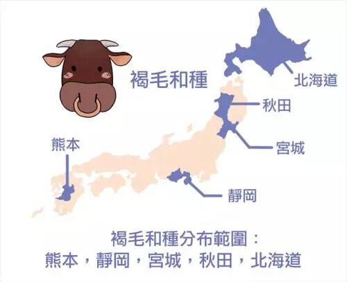日本烧肉店攻略 人气牛肉部位 和牛地图 信息王 微信公众号文章阅读 Wemp