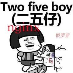 网友建议Nginx对西方国家实施反制裁，结果却让人心疼！