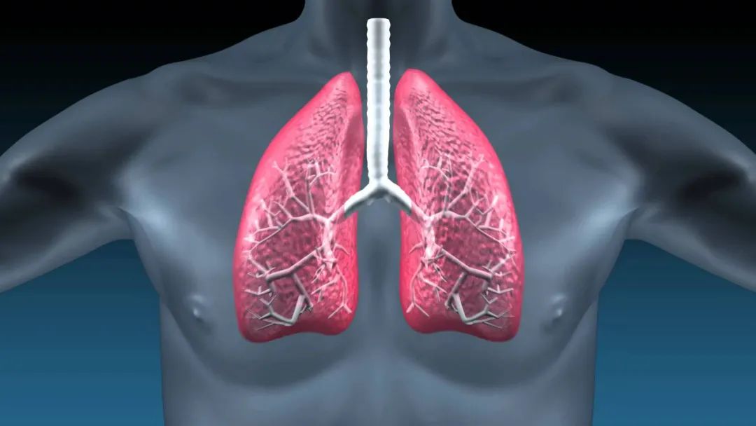 干细胞疗法可以治疗肺癌吗，干细胞对抗肺部疾病的显著疗效分析