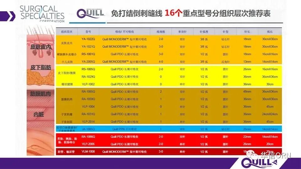 倒刺线怎么缝合TA的名字：倒刺线_https://www.jmylbn.com_新闻资讯_第14张