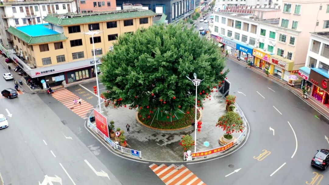 广宁县城张灯结彩迎新春浓浓年味扑面来