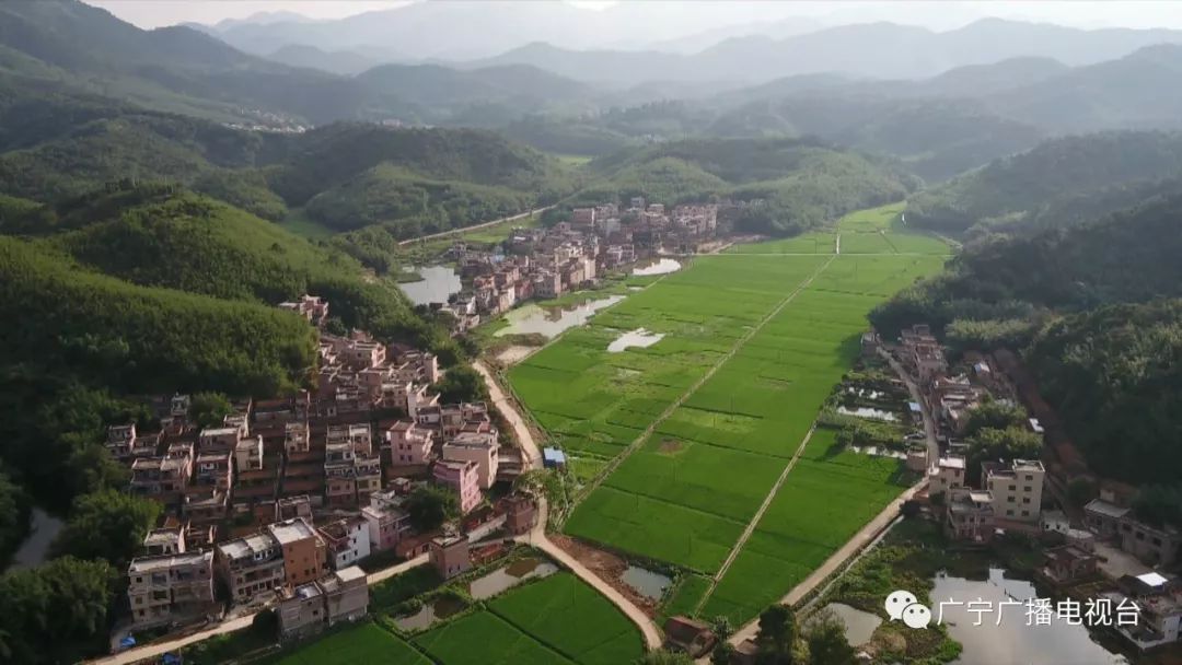 广西陆川县横山镇图片