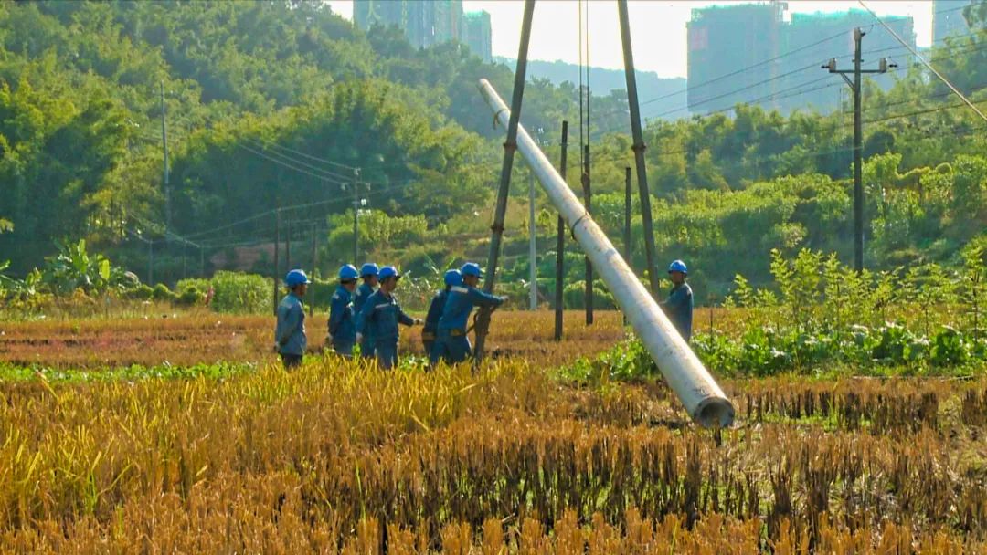 日前,記者來到南街街道崗頭村的組立電杆現場,看到工人們正在組立長線