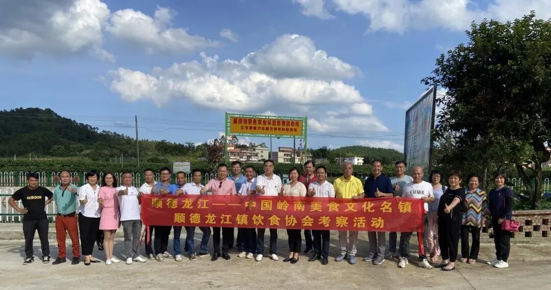 名厨指路,看江屯如何做好"龙须菜"菜谱-肇庆市广宁县人民政府网站