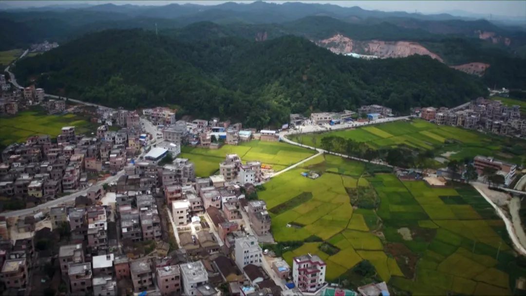 生态山水间,铺就乡村振兴幸福"快车道-肇庆市广宁县人民政府网站