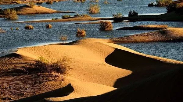 (8)五一假期| 沙海露营| 挑战57公里腾格里沙漠“五湖连穿”-户外活动图-驼铃网