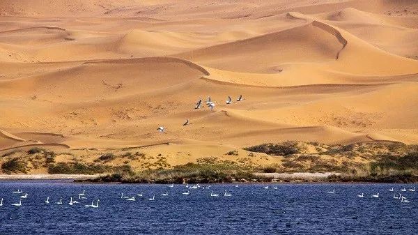 (9)五一假期| 沙海露营| 挑战57公里腾格里沙漠“五湖连穿”-户外活动图-驼铃网