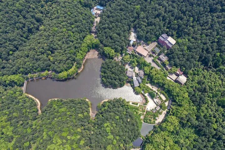 黛湖曾被多家违建酒店合围侵占，湖水严重污染（2019年4月摄）。除署名外本组图片均为秦廷富摄.jpg