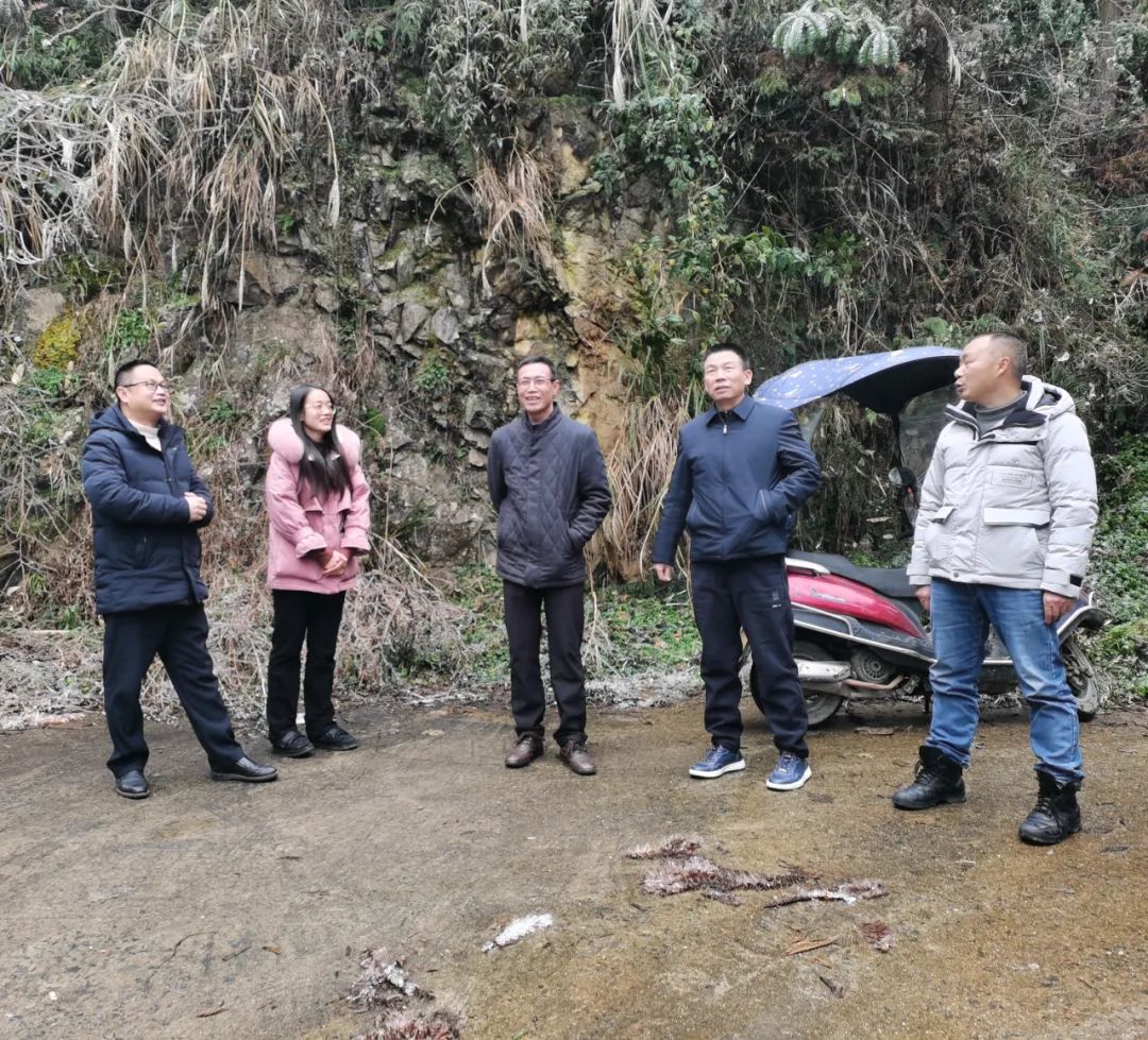 唐奕到新圩镇合力村调研指导寒潮雨雪天气凝冻灾害防范应对工作