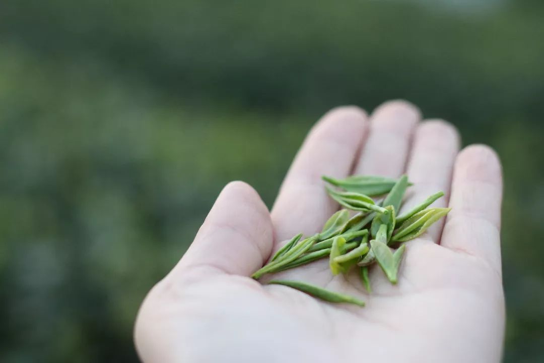 採用漸進多次發酵的湖紅茶,茶湯金黃明亮,口感鮮醇,甜潤,蘭花香明顯.