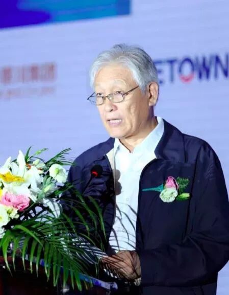 浙江省四川商会高级顾问、华景川集团总裁纪元明先生参加2018智慧城镇国际论坛