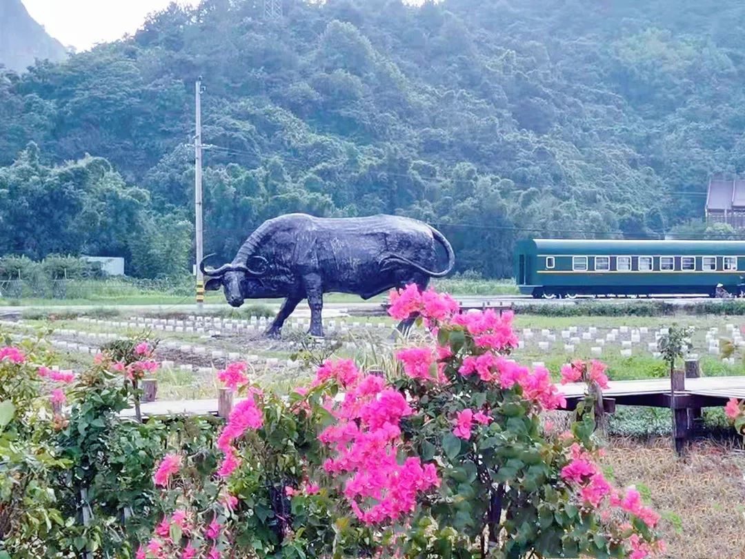 “醉美西塘”三大网红打卡点已揭开面纱