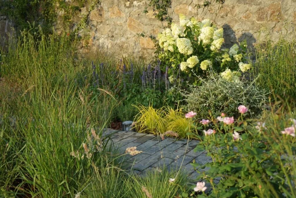 花婆婆民宿仙境中沾满了烟火气thefairylandwassaturated