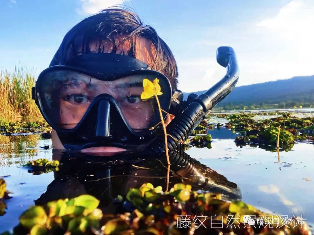 水族知识