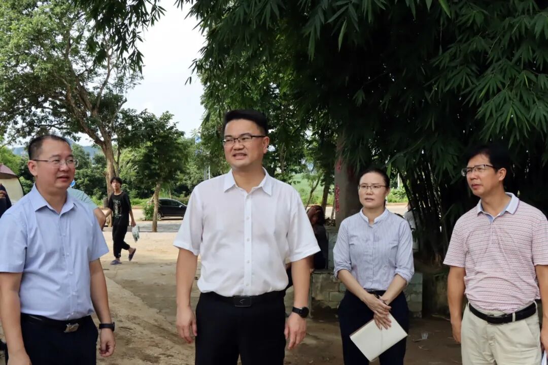 工程"工作推进情况 - 江州要闻 - 广西崇左市江州区人民政府门户网站