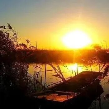 有一种善良，叫沉默