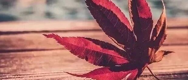 人有一知己，足以慰风尘！