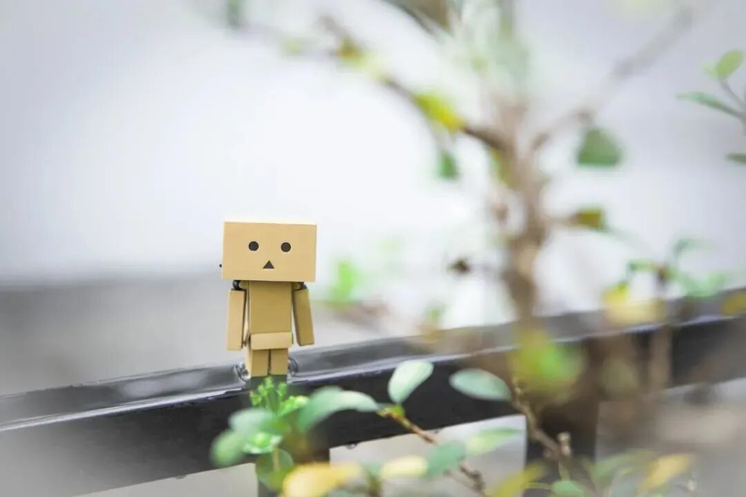 有一种委屈，叫懂事！