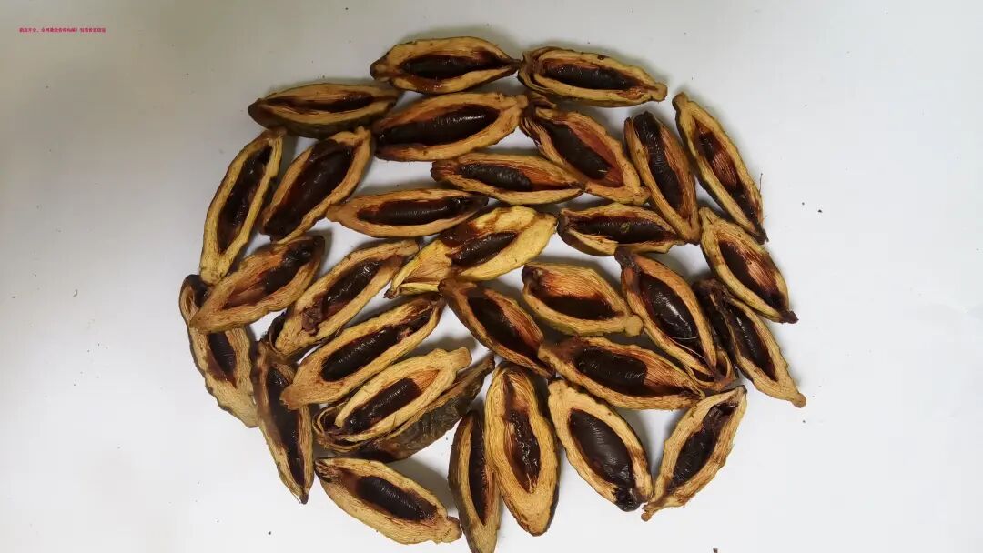 时候跟我抱怨:修理工每天嚼槟榔熏得女车主捂鼻子,槟榔渣吐的满地都是