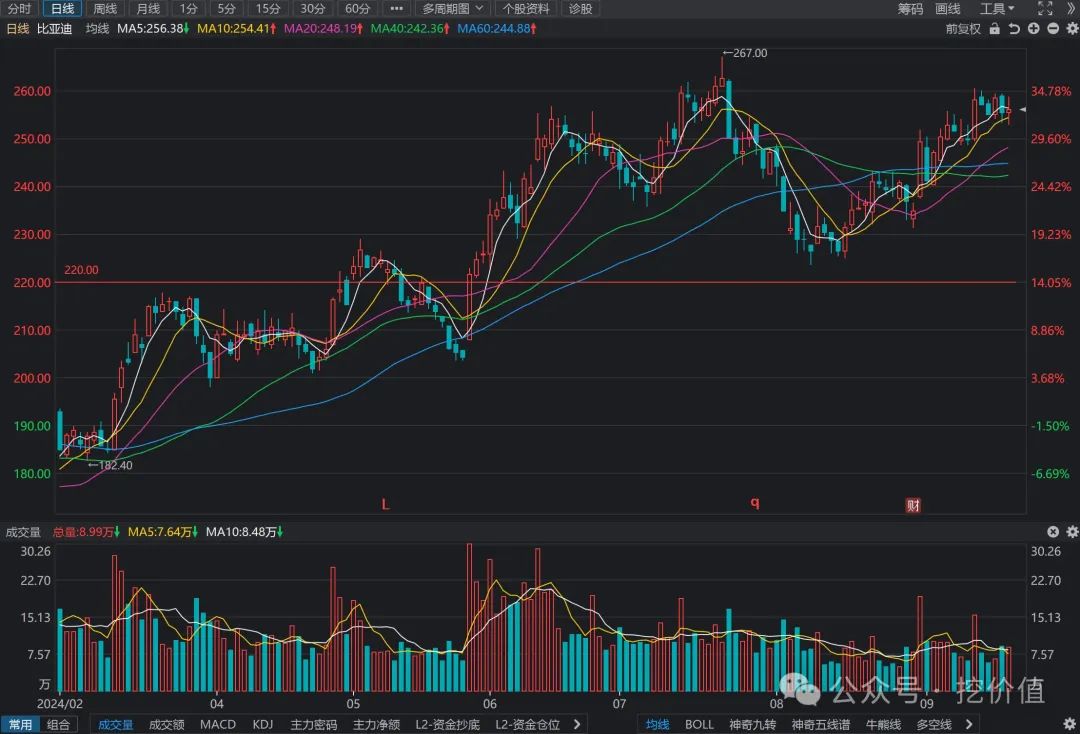 2024年09月20日 比亚迪股票