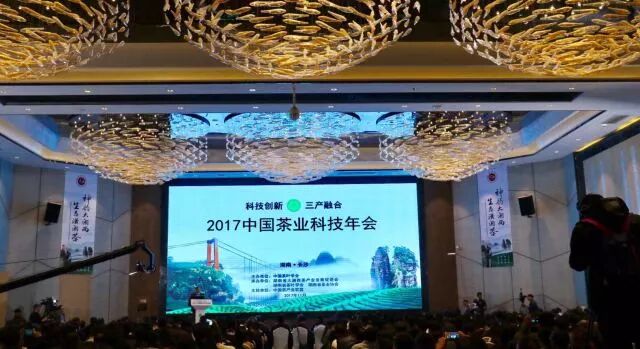 2017中国茶业科技年会在长沙盛大开幕