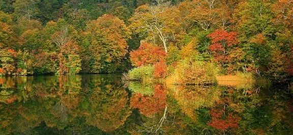 A线 日本趣访湖 志贺高原红叶摄影8天 太阳风旅游 微信公众号文章阅读 Wemp