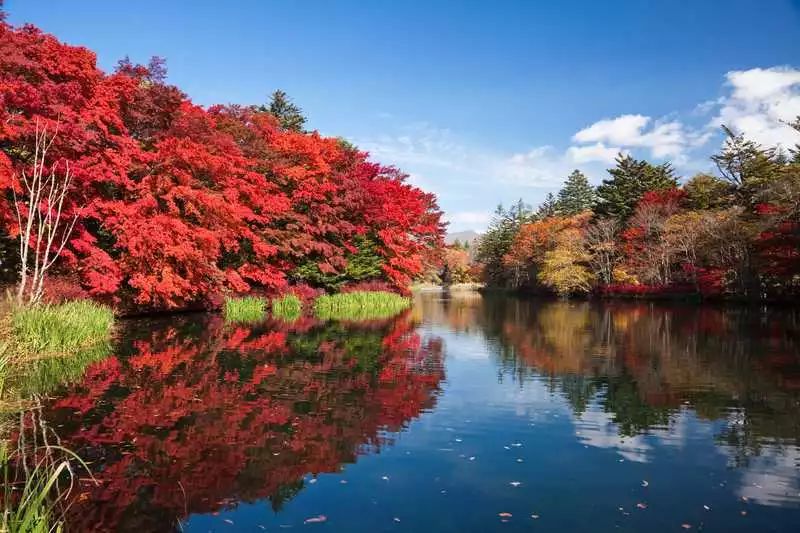 A线 日本趣访湖 志贺高原红叶摄影8天 太阳风旅游 微信公众号文章阅读 Wemp