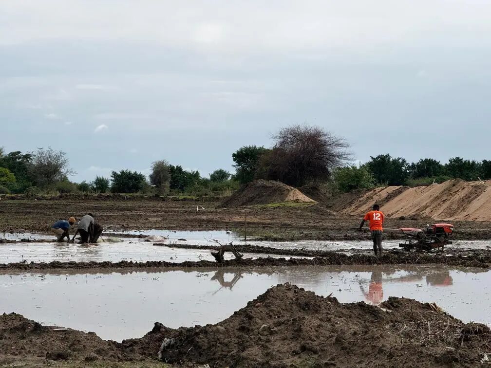 “我们耕种时不再忧心忡忡”——中企灌溉项目为坦桑农民带来新希望-中非友好经贸发展工作委员会