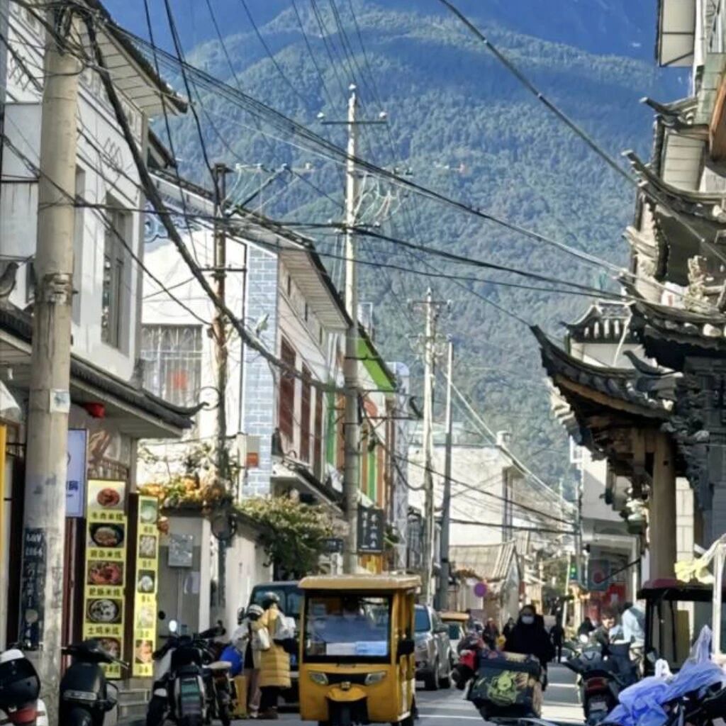 野生大咪咪