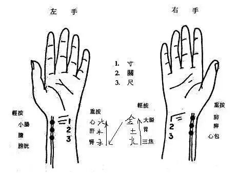 为什么心是钩脉高清【人纪】倪海厦老师讲解《黄帝内经》第29集：4-5 五脏落五脉，节气之逆行。_https://www.jmylbn.com_新闻资讯_第6张