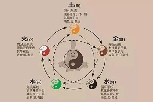 为什么心是钩脉高清【人纪】倪海厦老师讲解《黄帝内经》第29集：4-5 五脏落五脉，节气之逆行。_https://www.jmylbn.com_新闻资讯_第8张