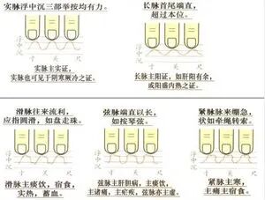 为什么心是钩脉高清【人纪】倪海厦老师讲解《黄帝内经》第27集：4-3 平人气象论。_https://www.jmylbn.com_新闻资讯_第7张