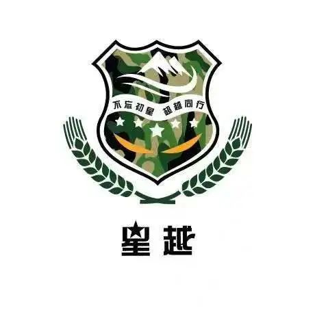 军事logo设计夏令营图片
