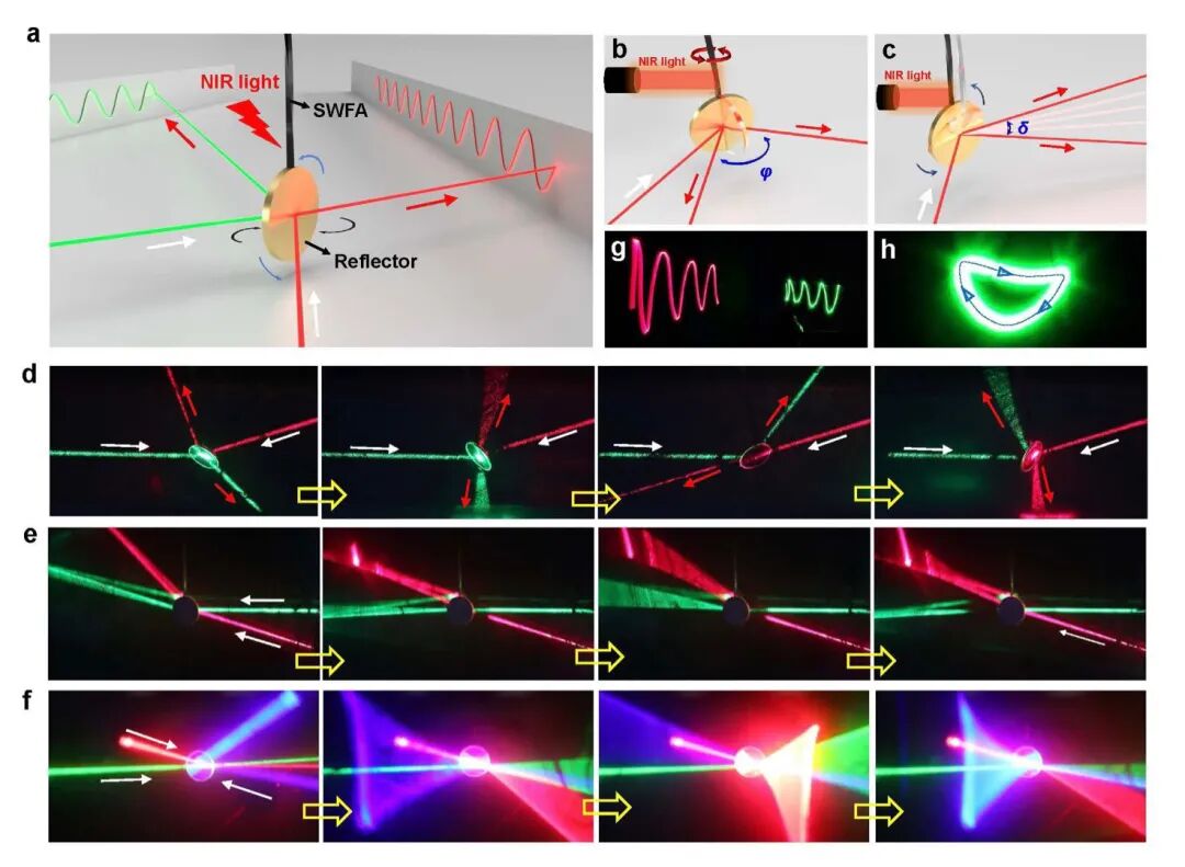 一株蔓藤带来的灵感丨西湖大学吕久安团队《Nat.Commun.》：开发出光控自动循环运动新系统的图6