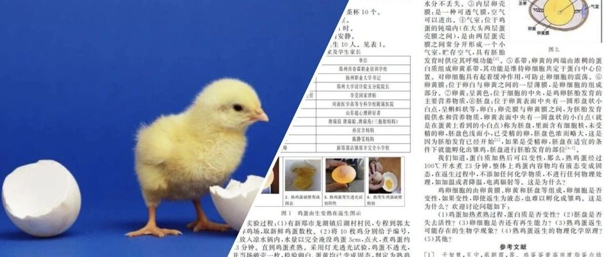 “熟鸡蛋返生”背后的神秘学校，可能是河南的霍格沃茨