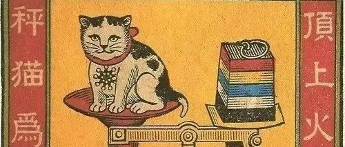 为什么古早广告中经常出现猫