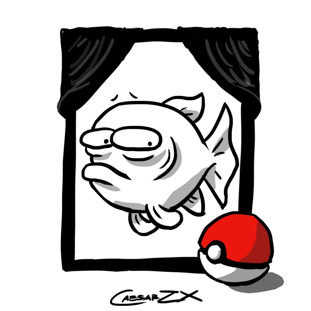 中国斗鱼寿命_斗鱼的平均寿命_斗鱼寿命