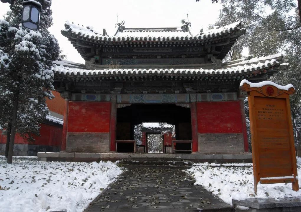 帝国时代游戏_帝国时代游戏速度_帝国时代游戏画面怎么调大小