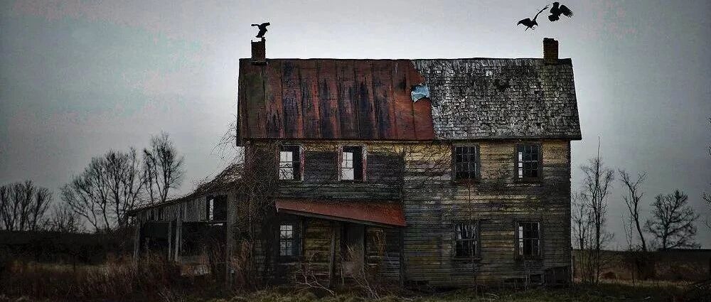 上万玩家花5年寻找一个种田游戏，最后发现是一场梦